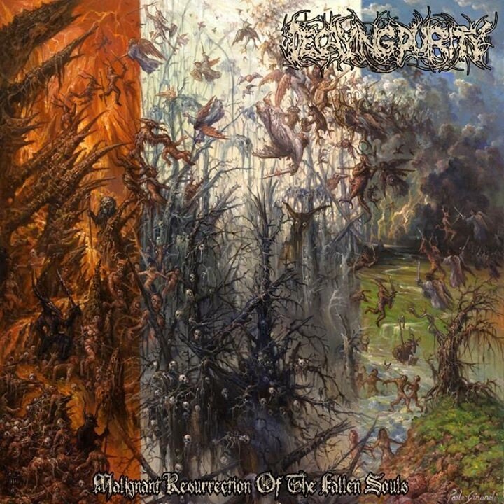 Decaying Purity《Everlasting Hell In Sanctity》GTP谱