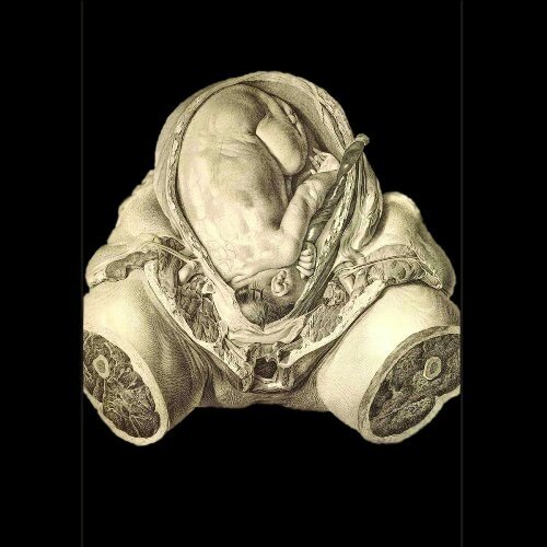 Orcustus《Ego Sum Chaos》GTP谱