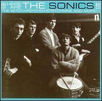 The Sonics《Have Love Will Travell》GTP谱