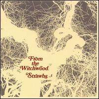 The Strawbs《Witchwood》GTP谱