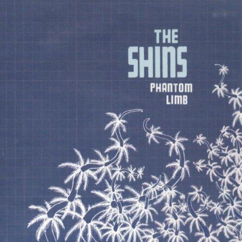 The Shins《Phantom Limb》GTP谱