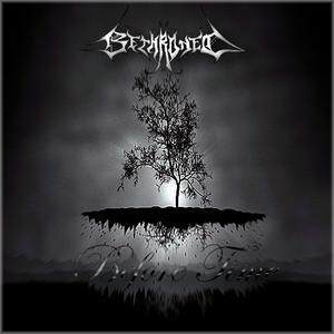 Bethroned《My Punishment》GTP谱