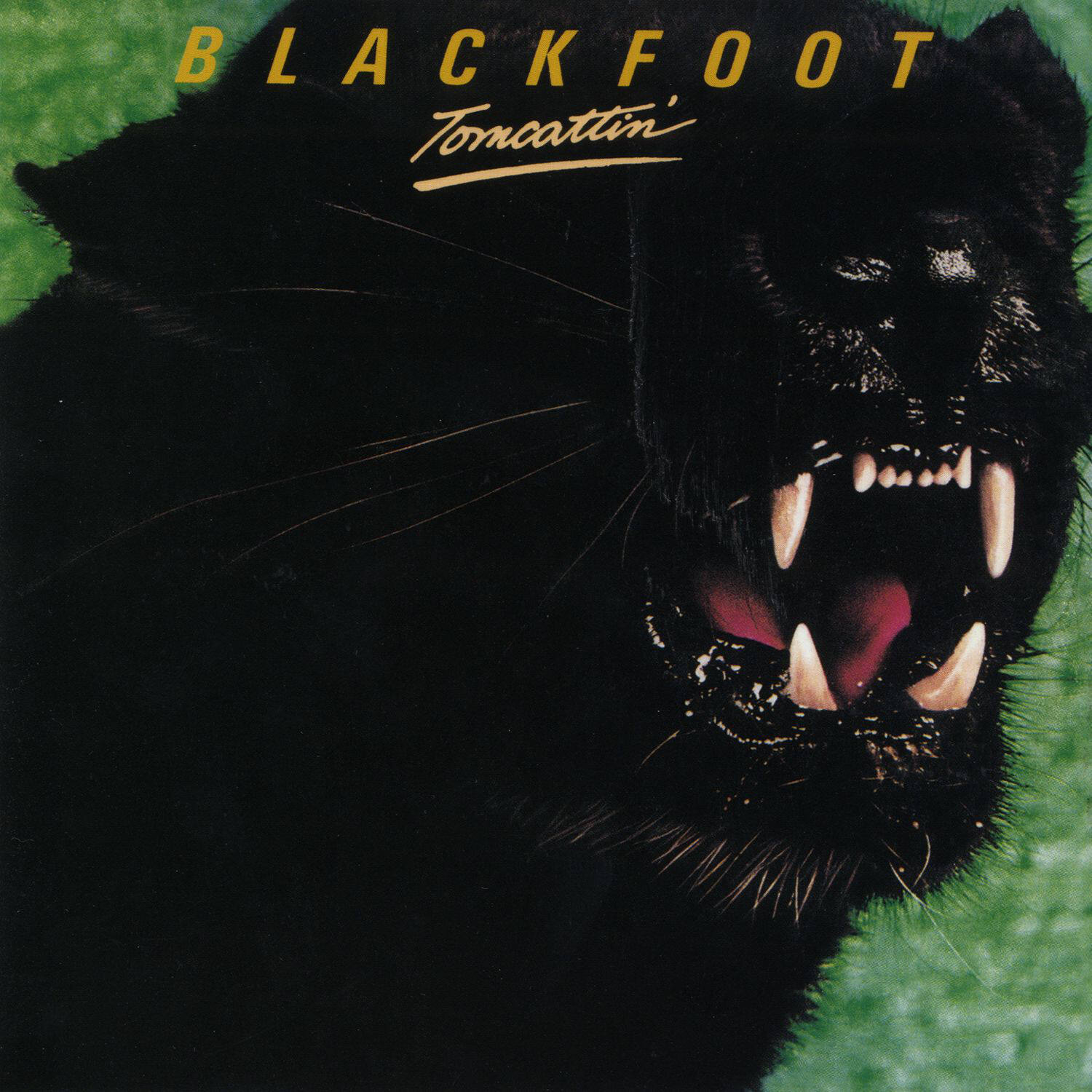 Blackfoot《Fox Chase》GTP谱