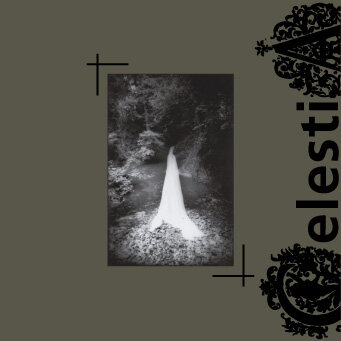 Celestia《The Awakening Of The Dormant Fiancee》GTP谱