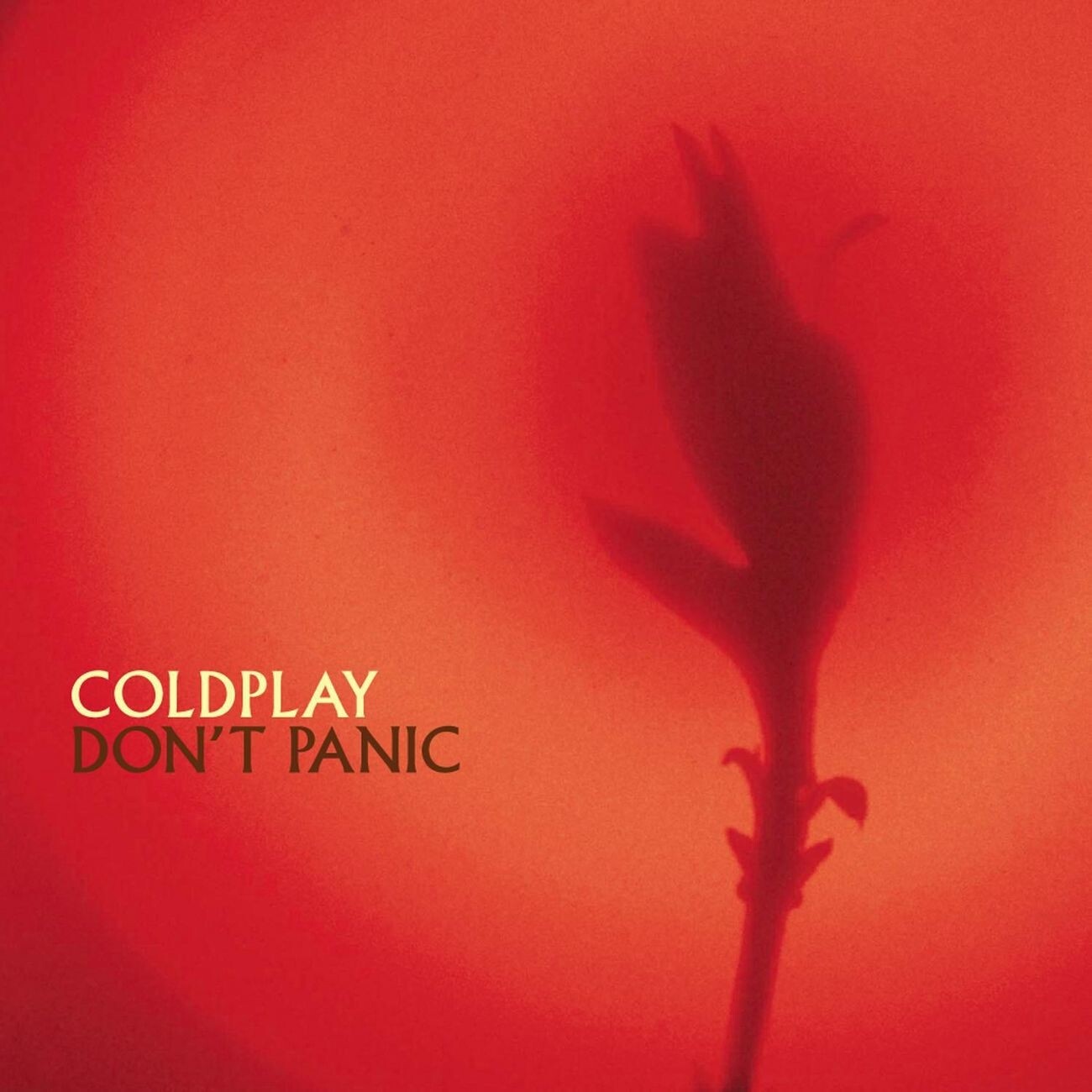 Coldplay《Don QuixoteSpanish Rain》GTP谱