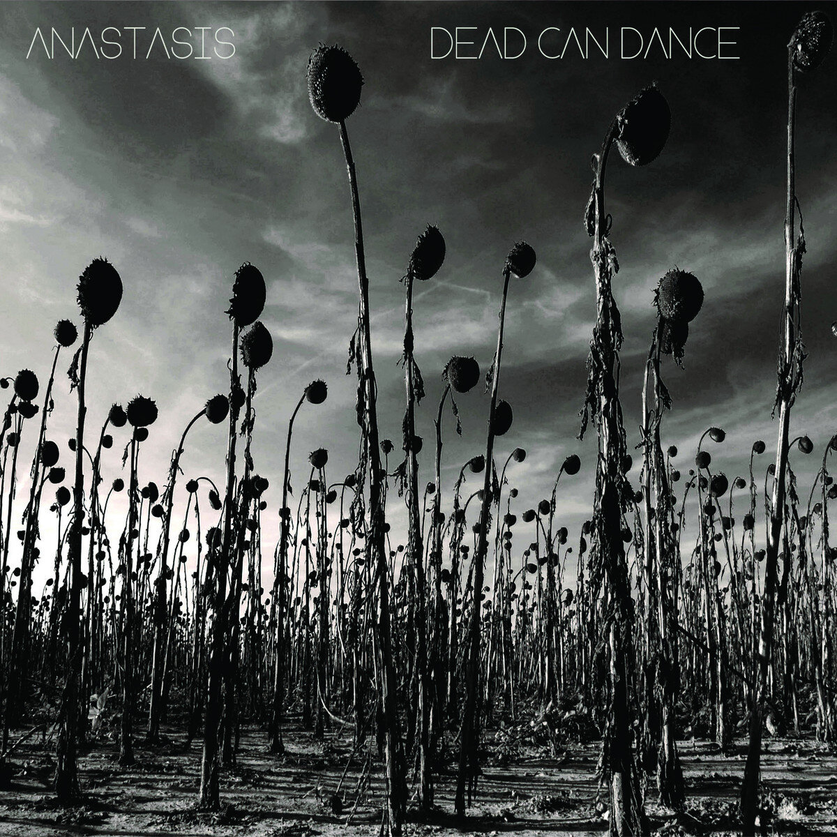 Dead Can Dance《Anabasis -Soymartino Figerstyle Cover》GTP谱