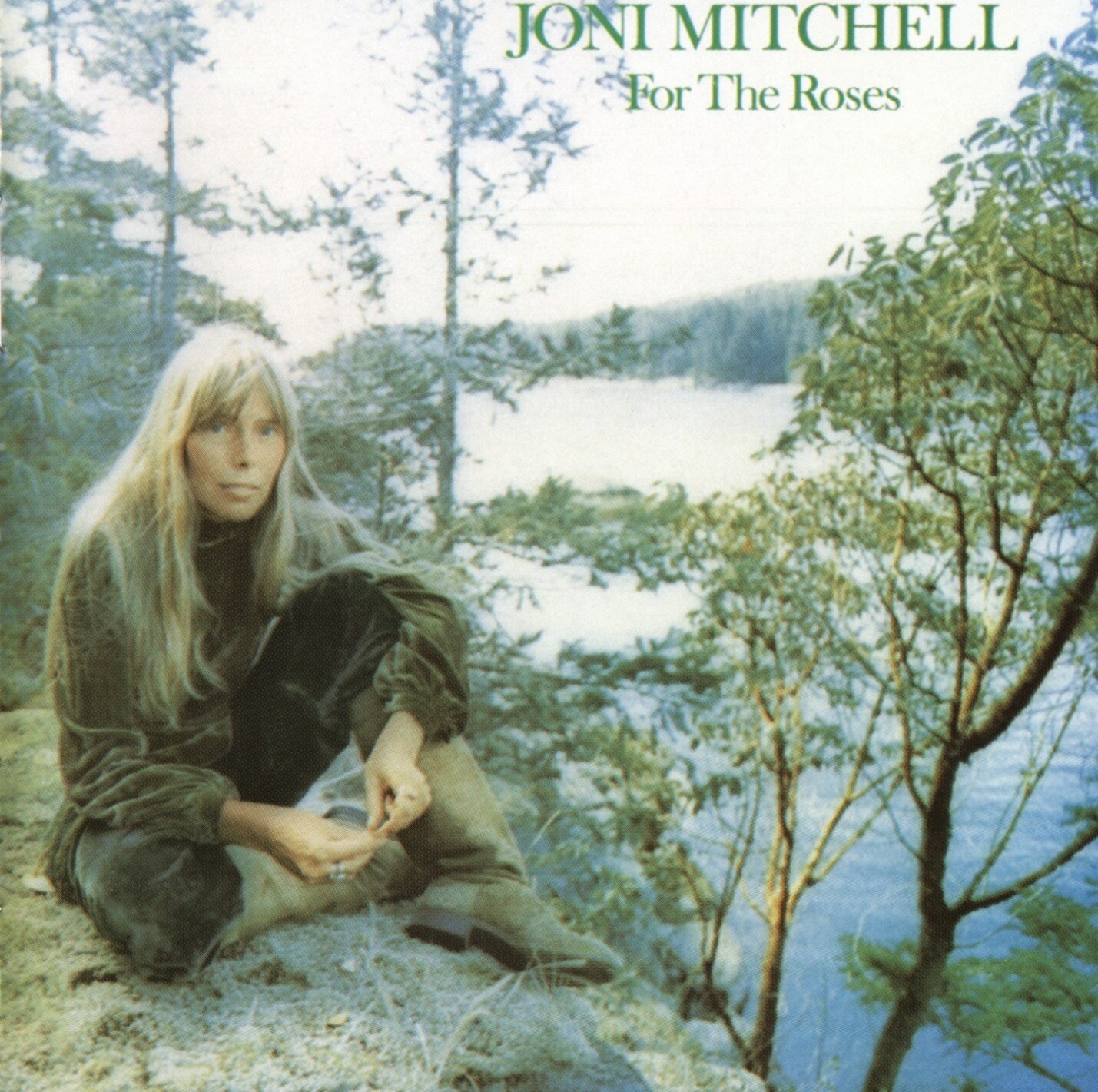 Joni Mitchell《For The Roses》GTP谱