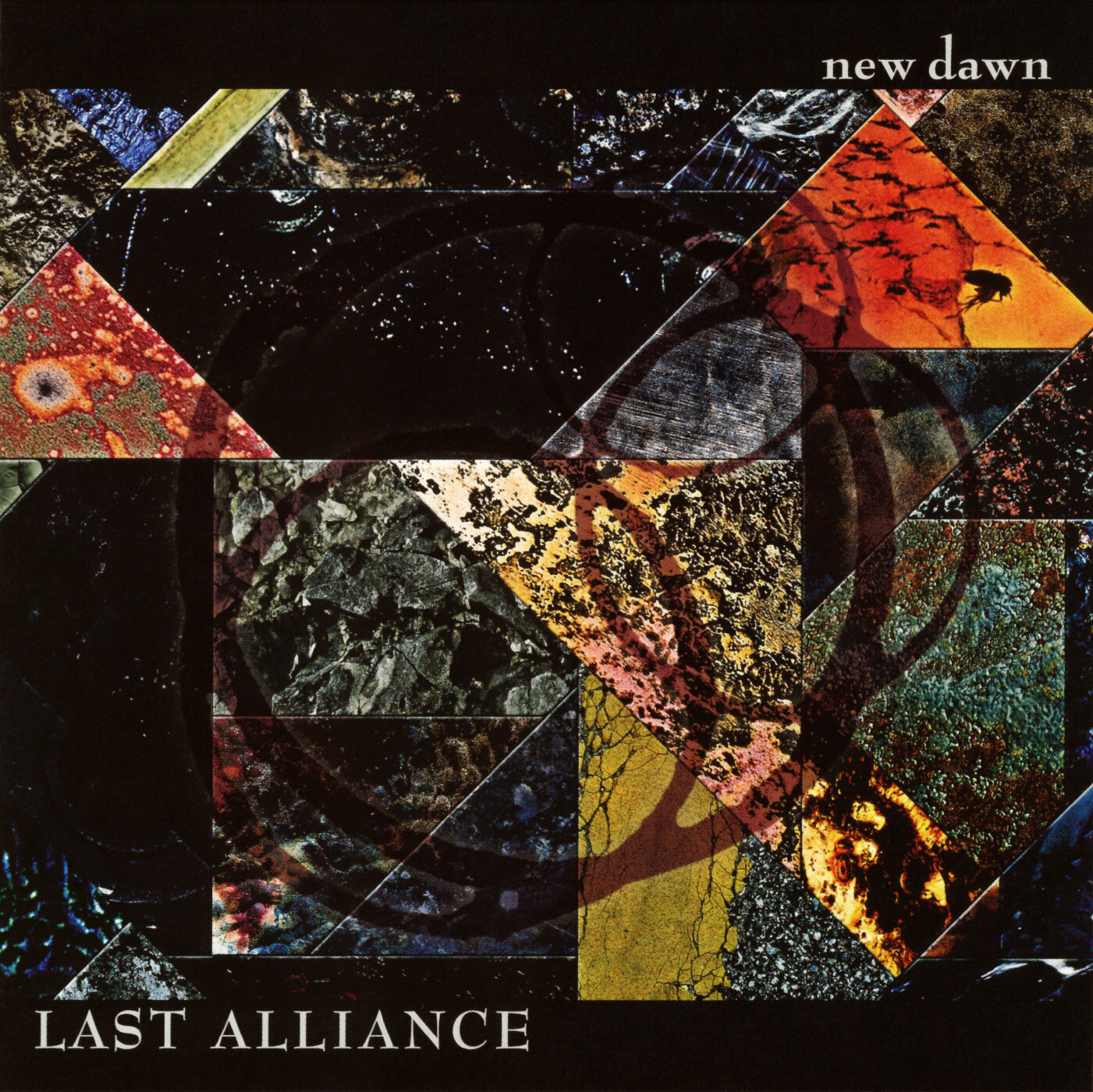 Last Alliance《Shissou》GTP谱