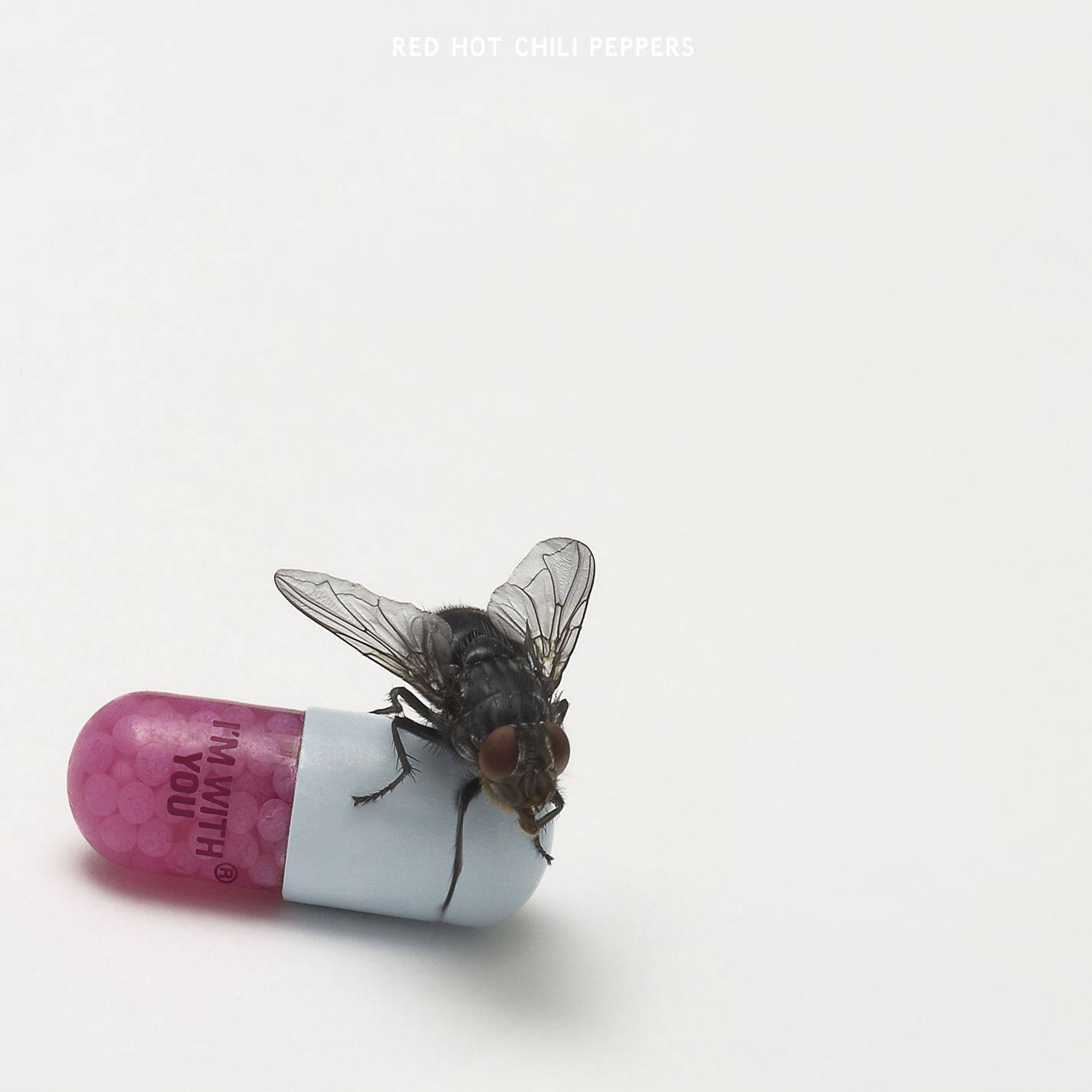 Red Hot Chili Peppers《Brendan\'s Death Song》GTP谱