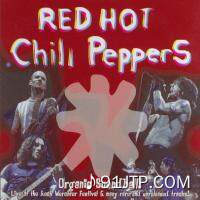 Red Hot Chili Peppers《Instrumental #1》GTP谱