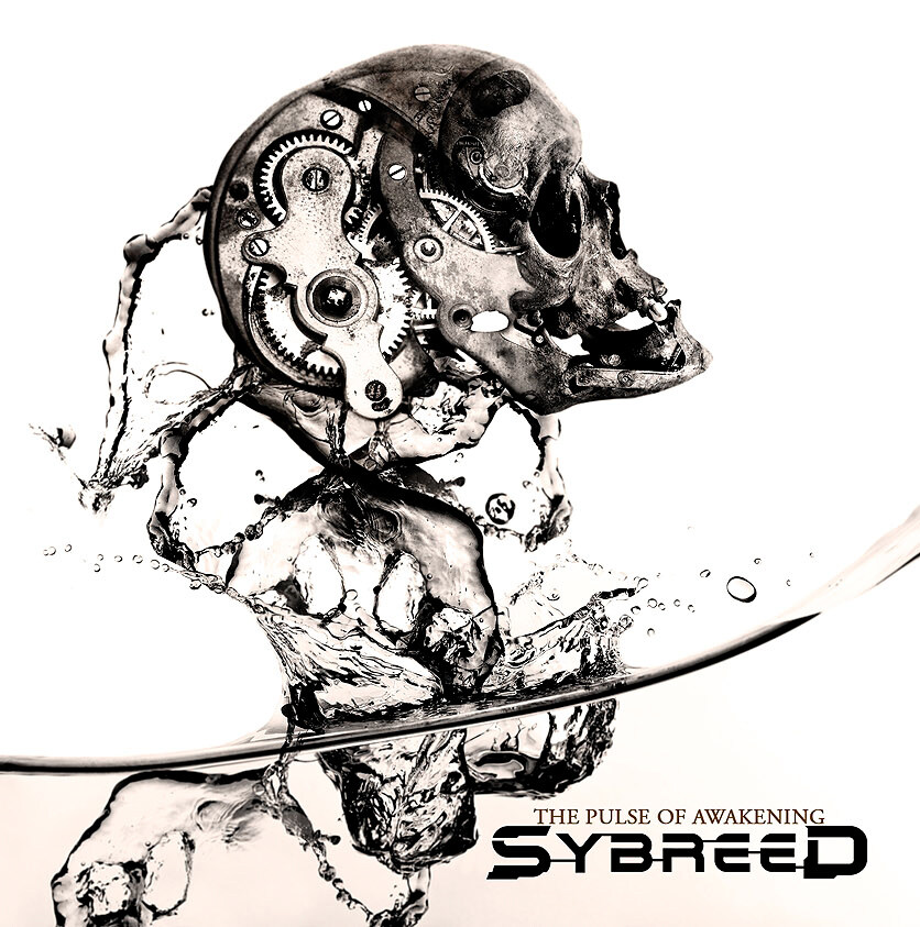 Sybreed《Electronegative》GTP谱
