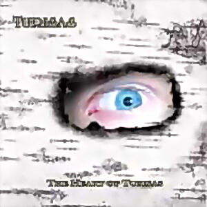 Turisas《Till The Last Man Falls》GTP谱