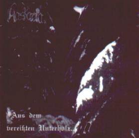 Aaskereia《Winternacht》GTP谱