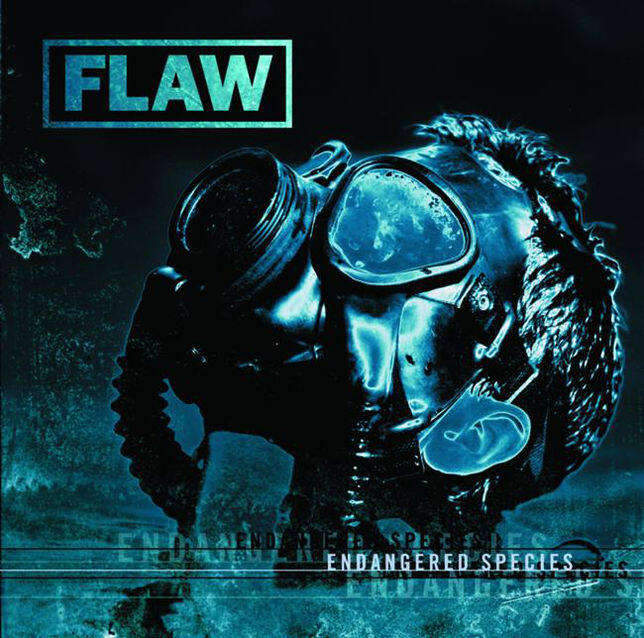 Flaw《Youve Changed》GTP谱