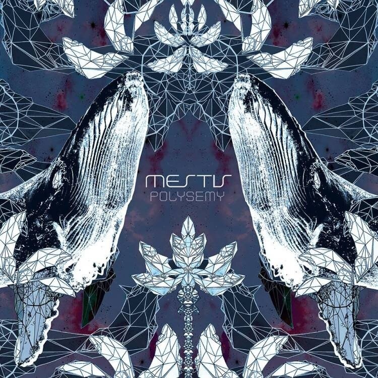Mestis《Paloma》GTP谱