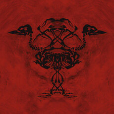 Mokoma《Irti》GTP谱
