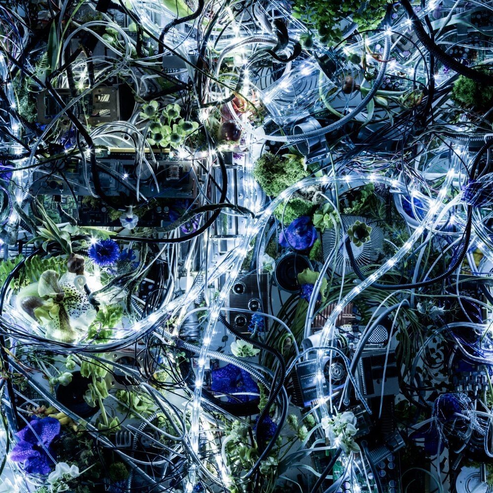 Aimer《Ninelie》GTP谱