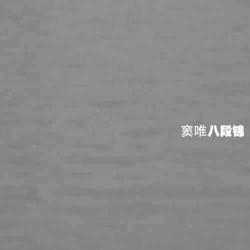 窦唯《八一队正步》GTP谱