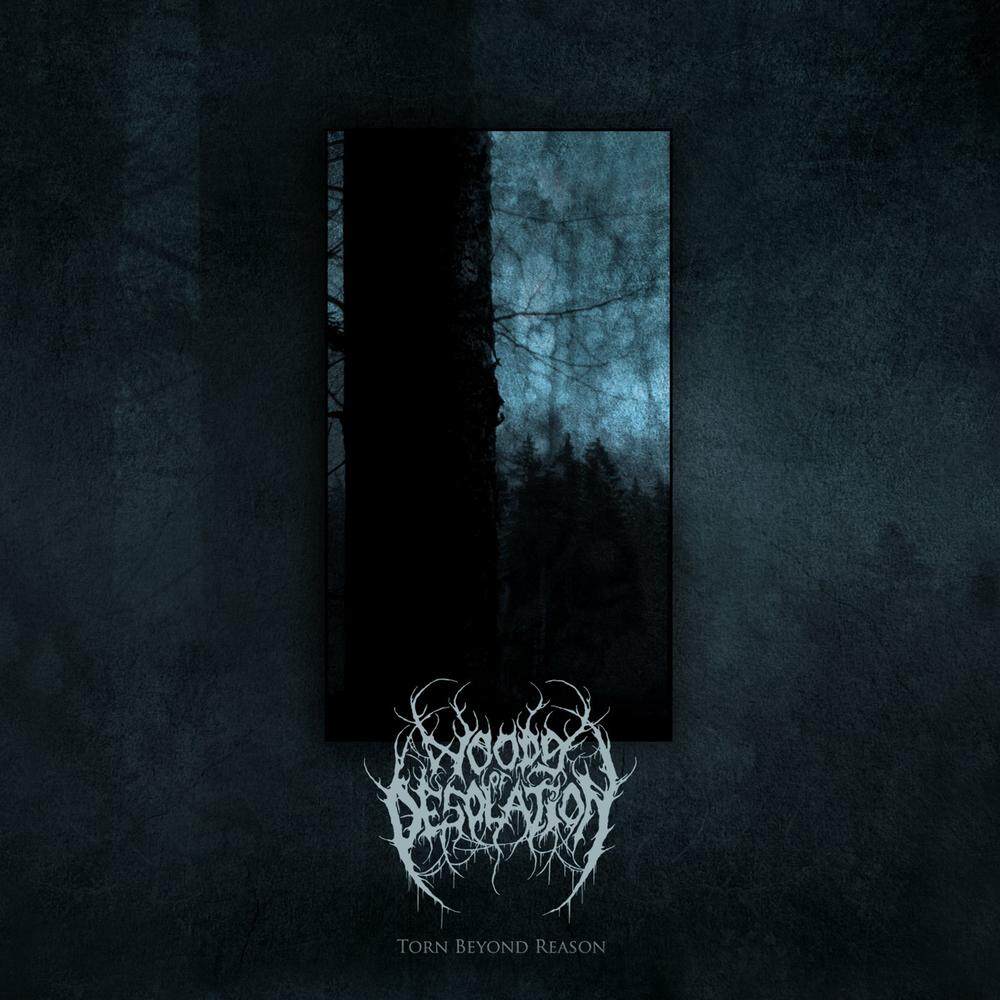Woods of Desolation《Somehow》GTP谱
