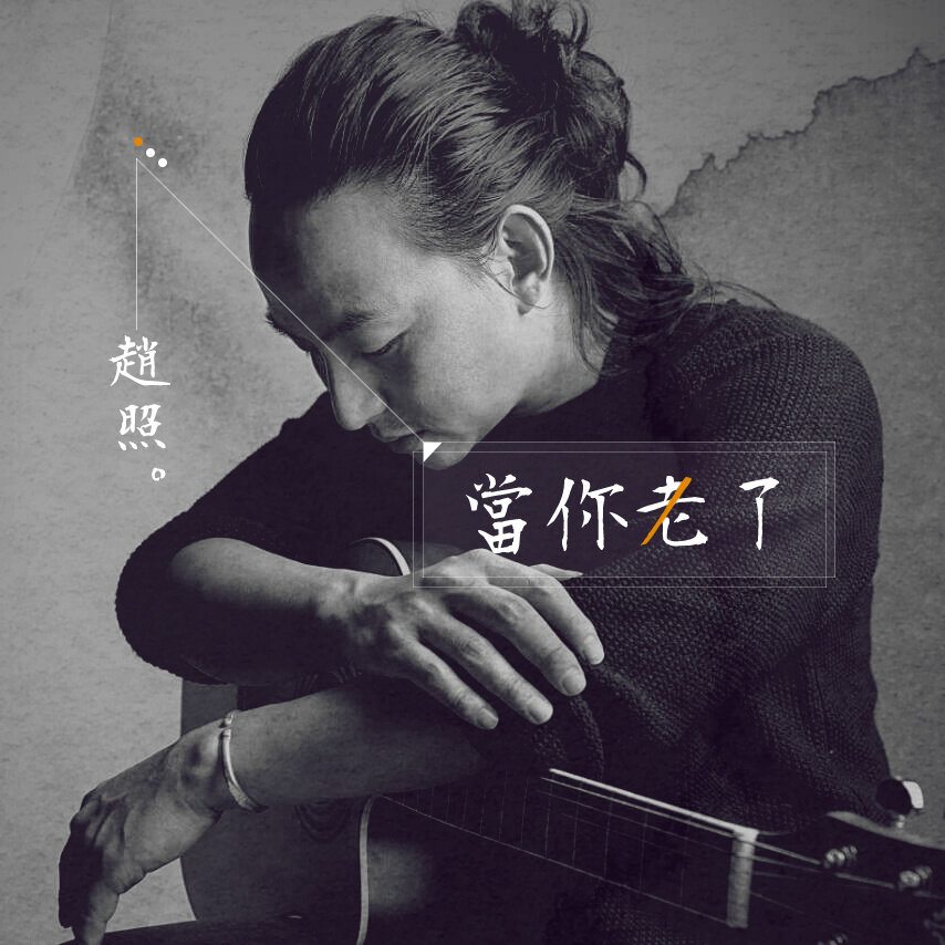 赵照《当你老了-完美版》GTP谱
