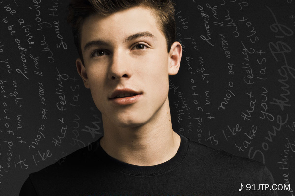 Shawn Mendes《Never Be Alone》GTP谱
