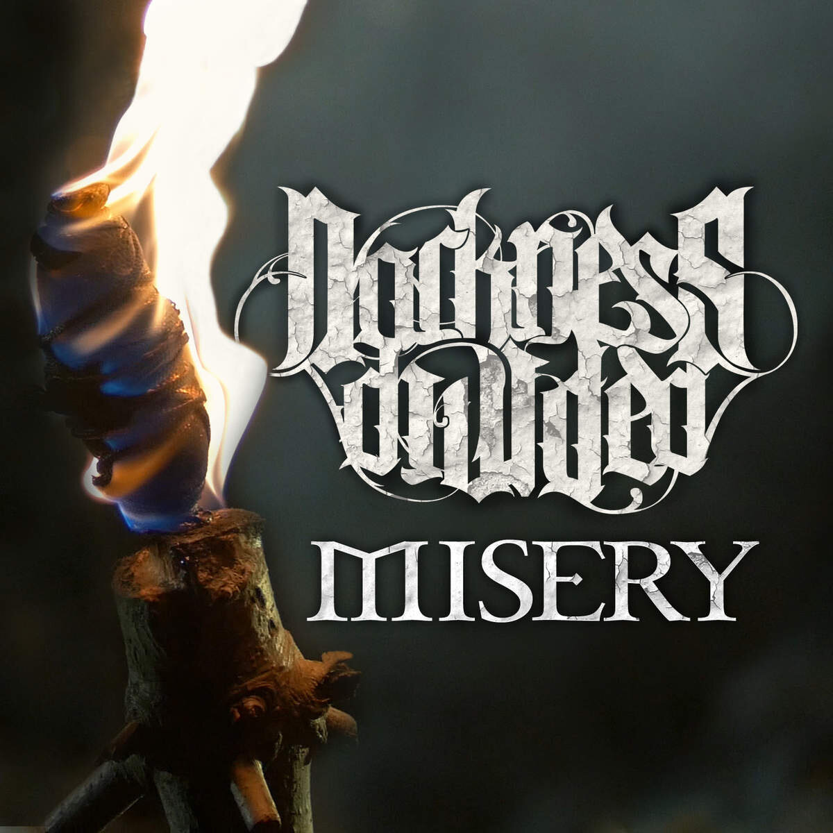 Darkness Divided《Misery》GTP谱