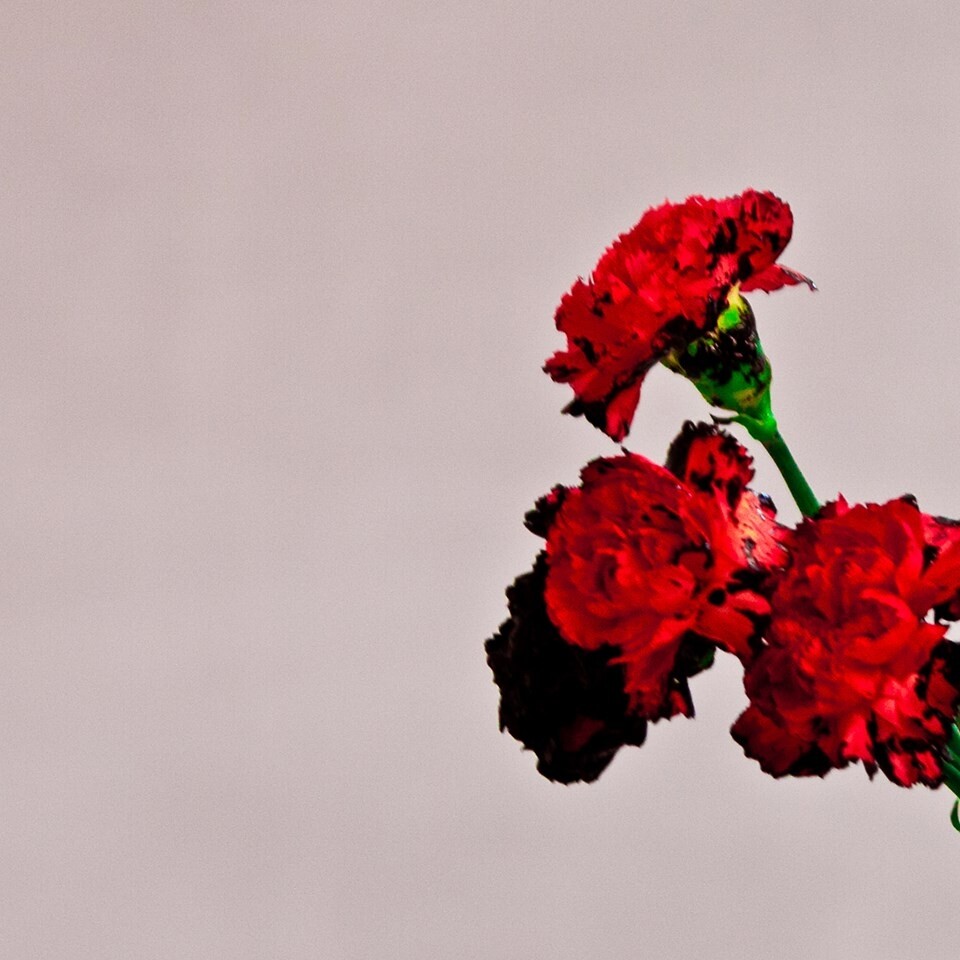 John Legend《All Of Me》GTP谱
