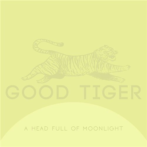 Good Tiger《Where Are The Birds》GTP谱