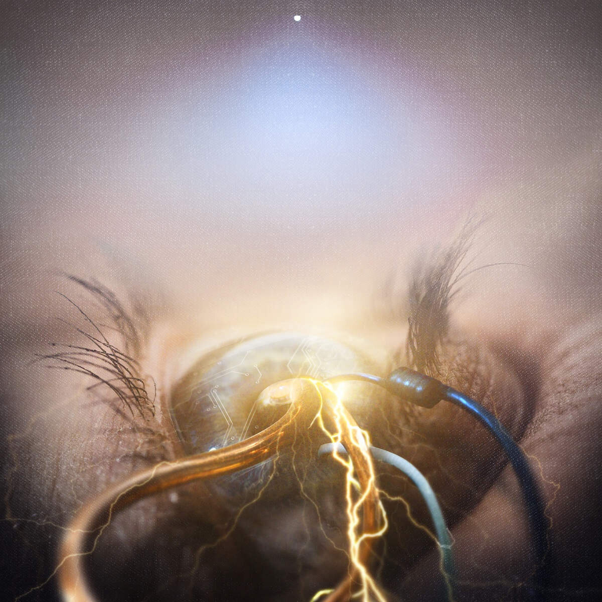 The Agonist《Gates Of Horn And Ivory》GTP谱