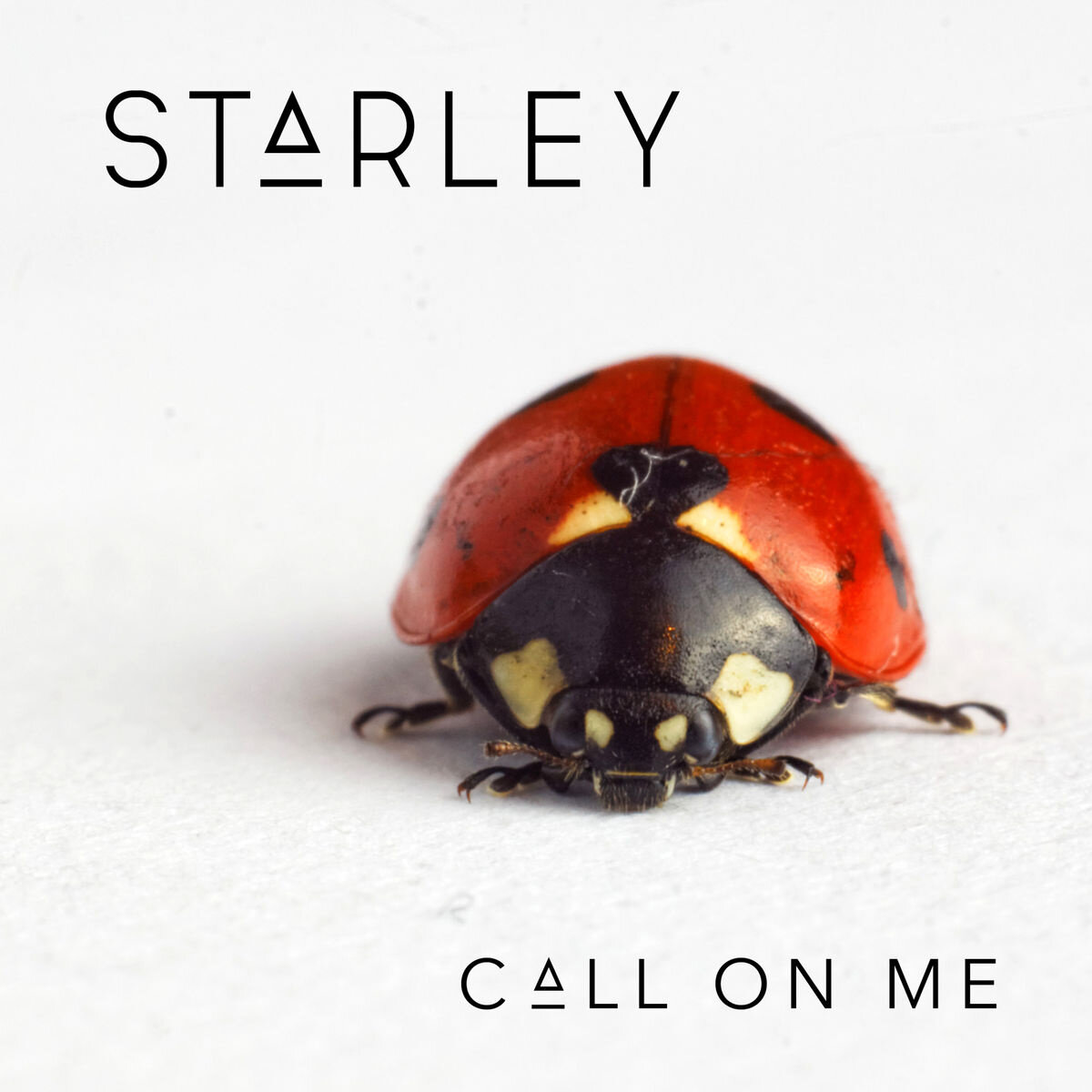 Starley《Call On Me》GTP谱