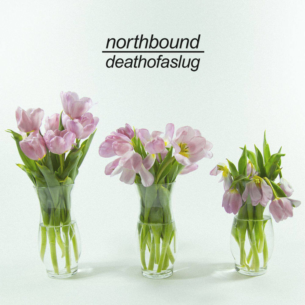 Northbound《Leech》GTP谱