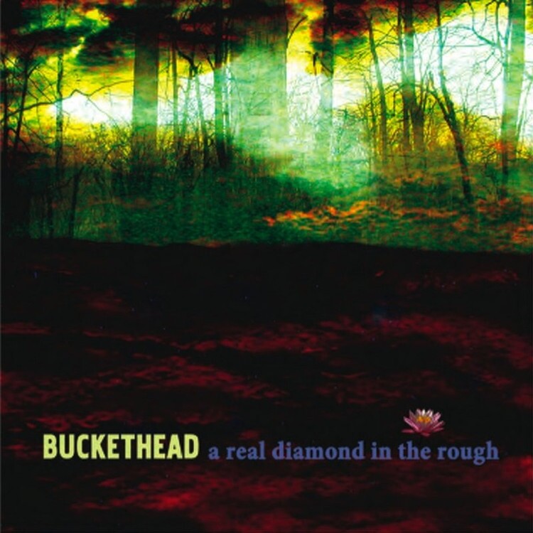 Buckethead《The Miracle Of Surrender》GTP谱