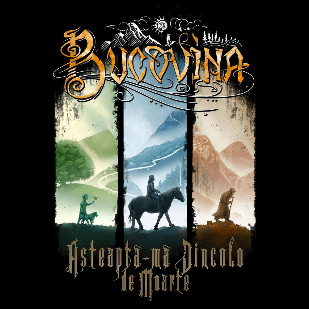 Bucovina《Asteapta》GTP谱