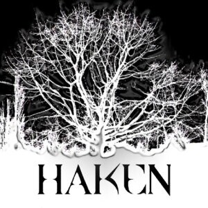 Haken《Souls》GTP谱