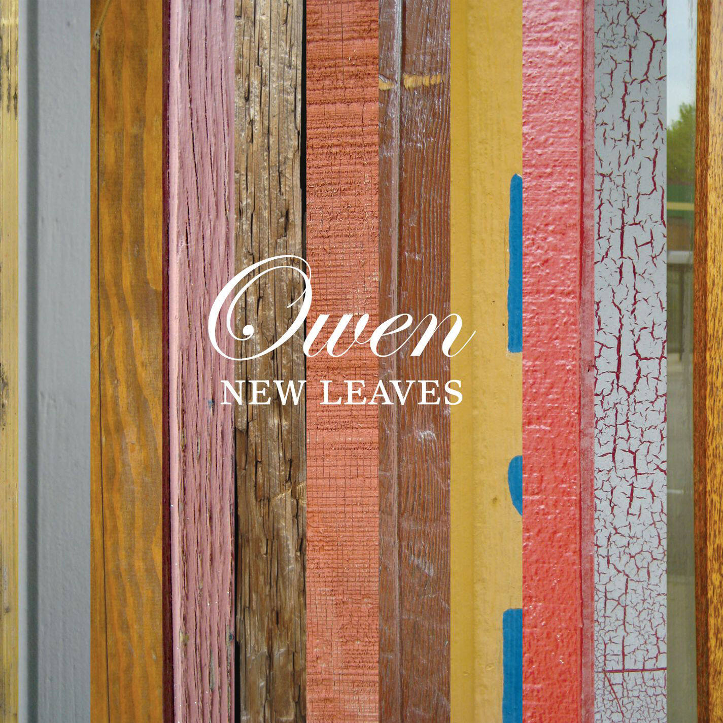 Owen《Brown Hair In A Birds Nest》GTP谱