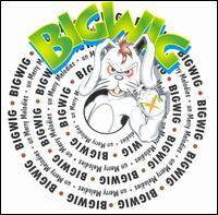 Bigwig《Your In Sample》GTP谱