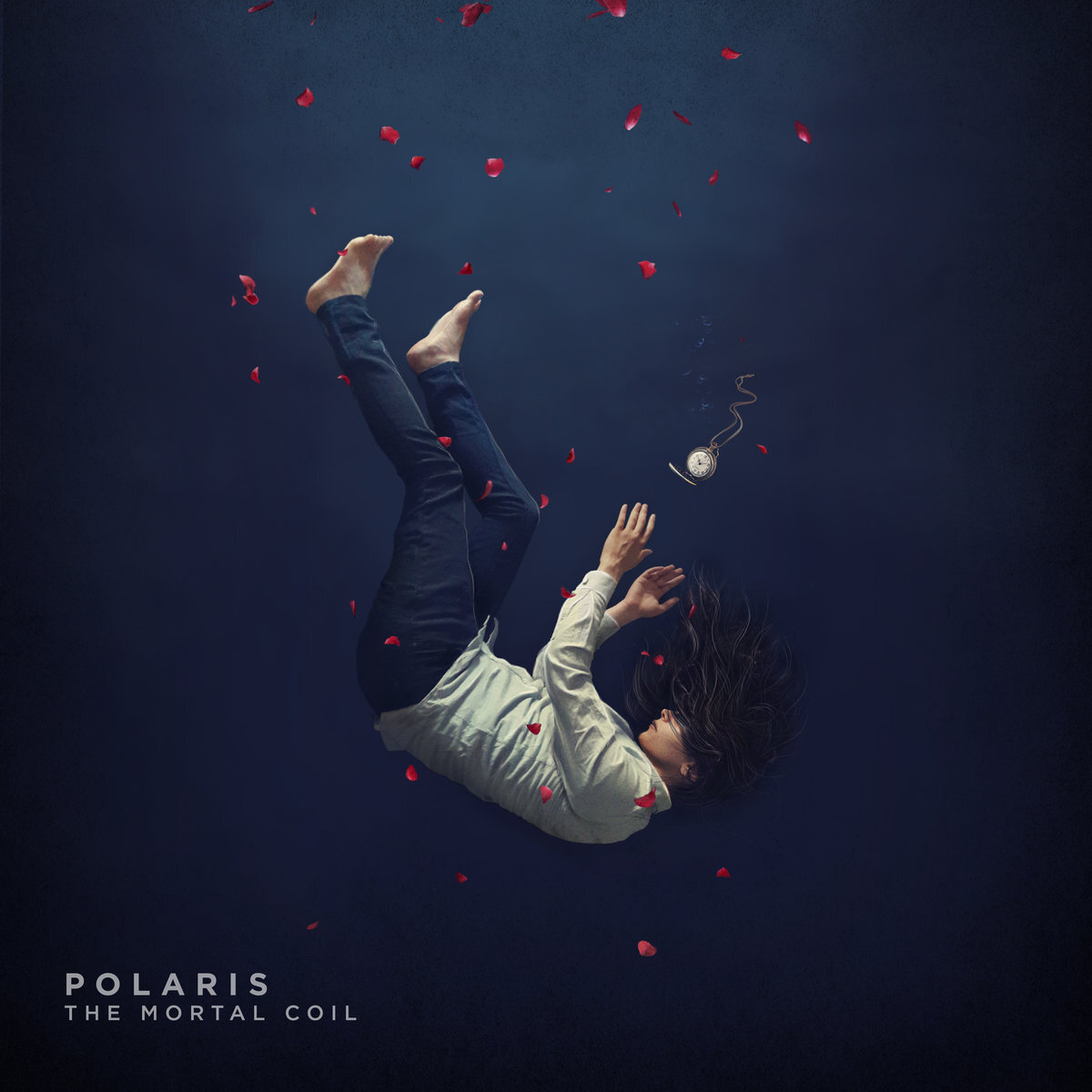 Polaris《Lucid》GTP谱