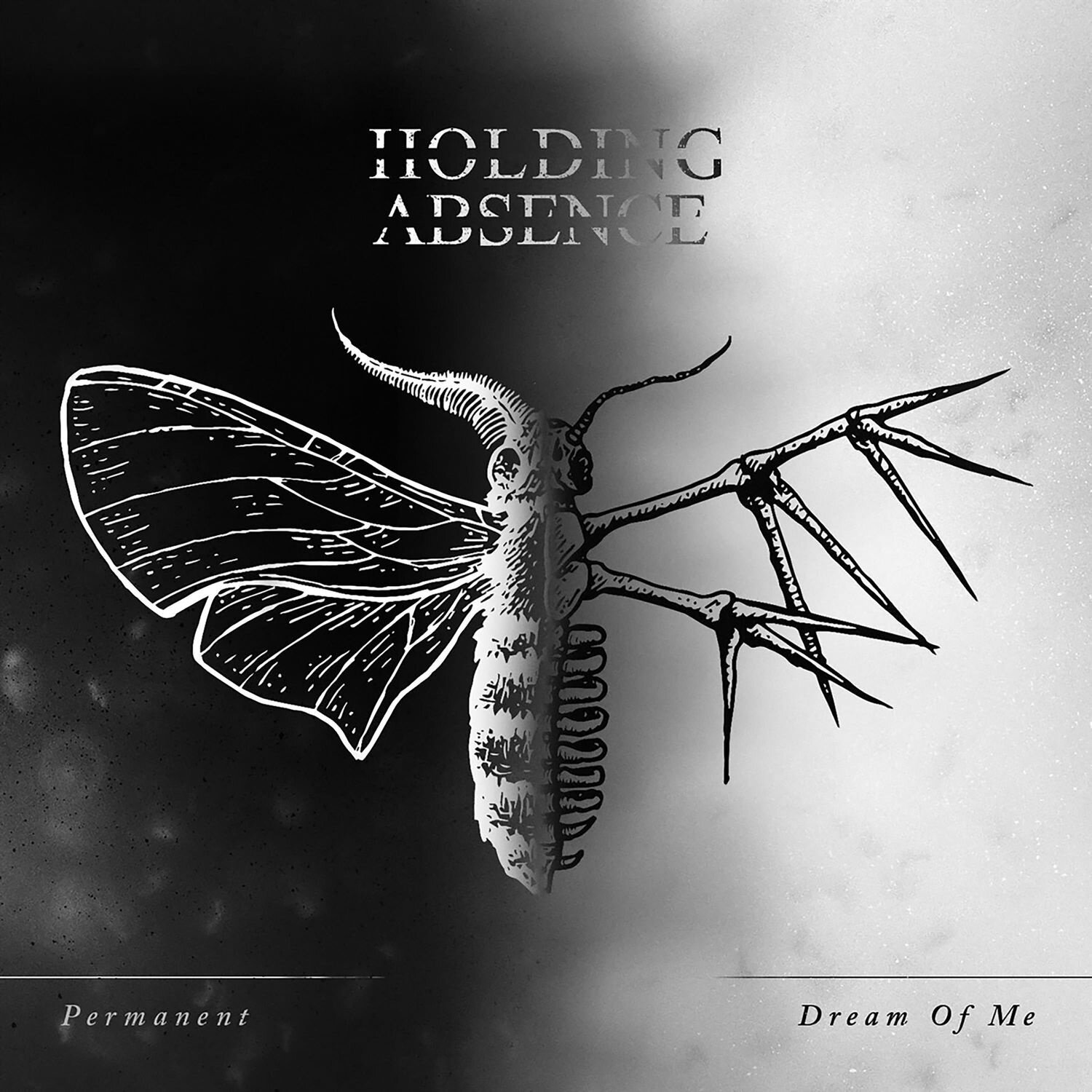 Holding Absence《Permanent》GTP谱