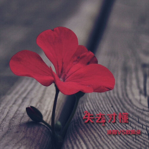 欧阳朵《失去才懂》GTP谱