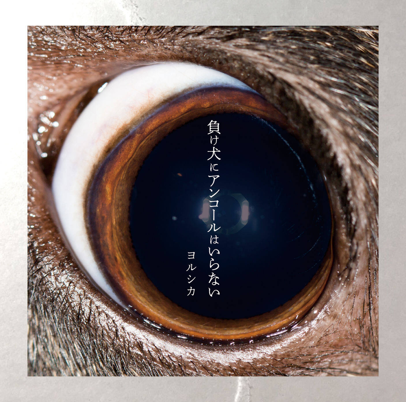 ヨルシカ《ただ君に晴れ》GTP谱