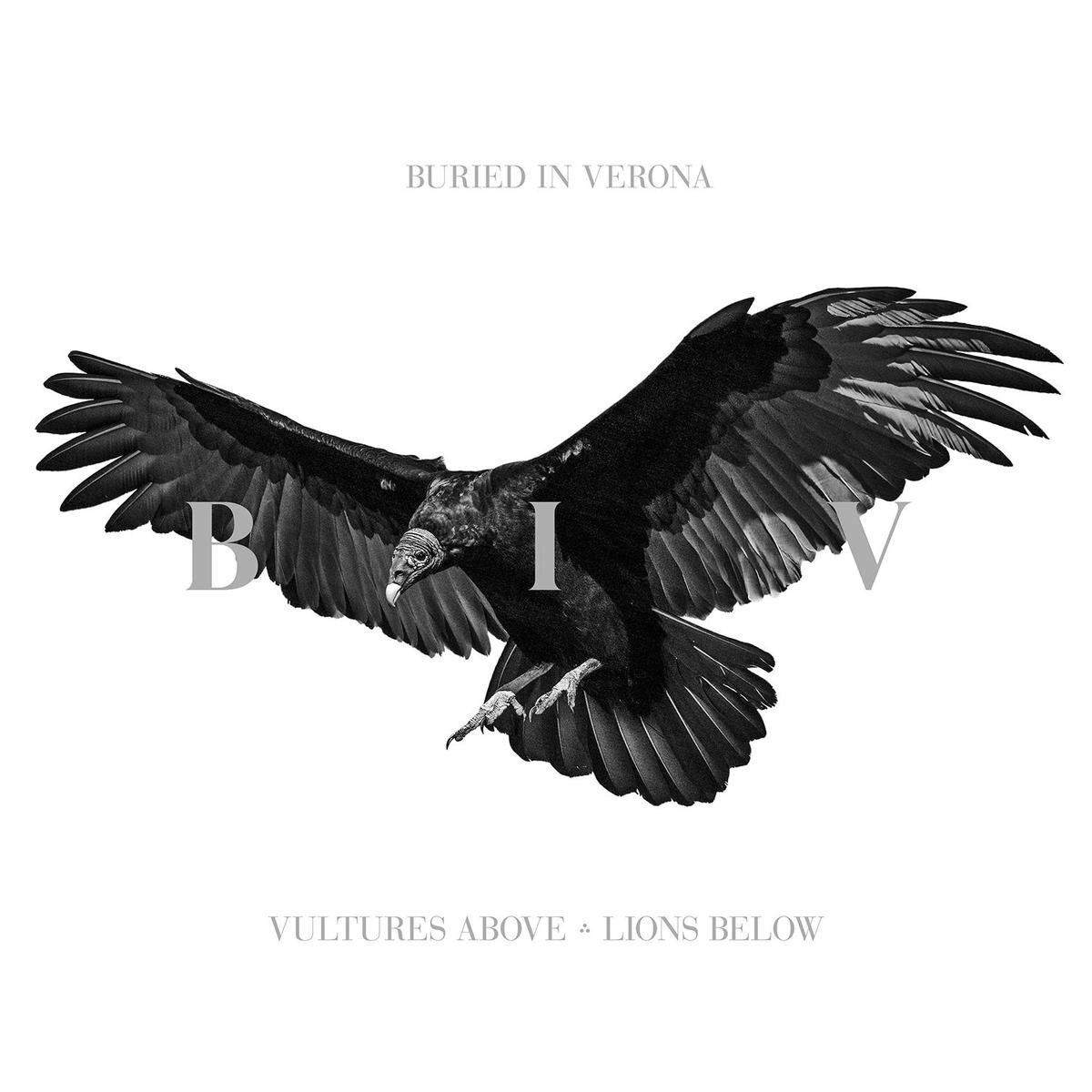 Buried In Verona《Dig me out》GTP谱
