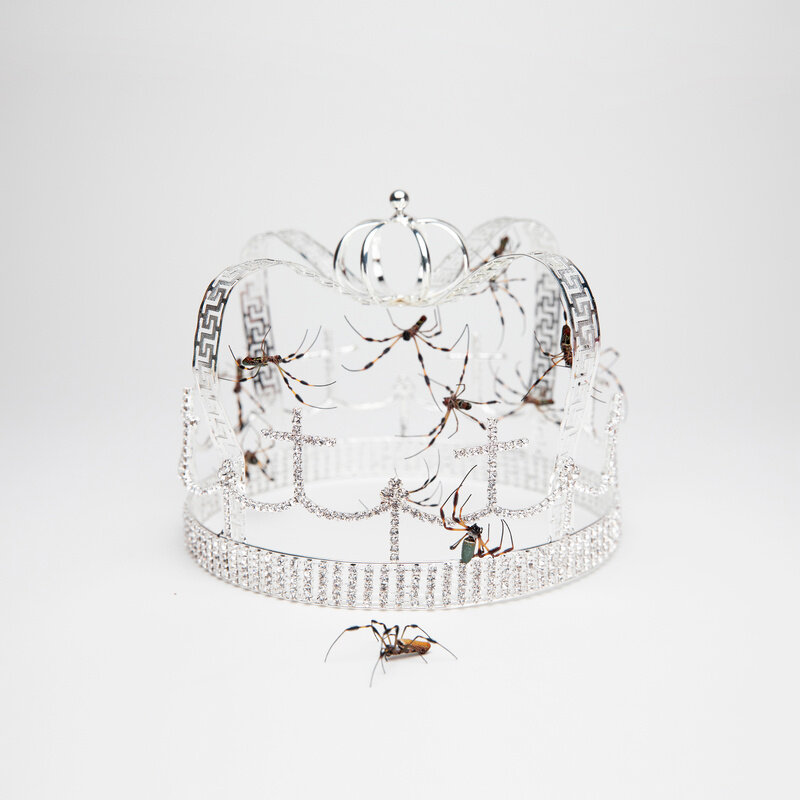Billie Eilish《You Should See Me In A Crown》GTP谱