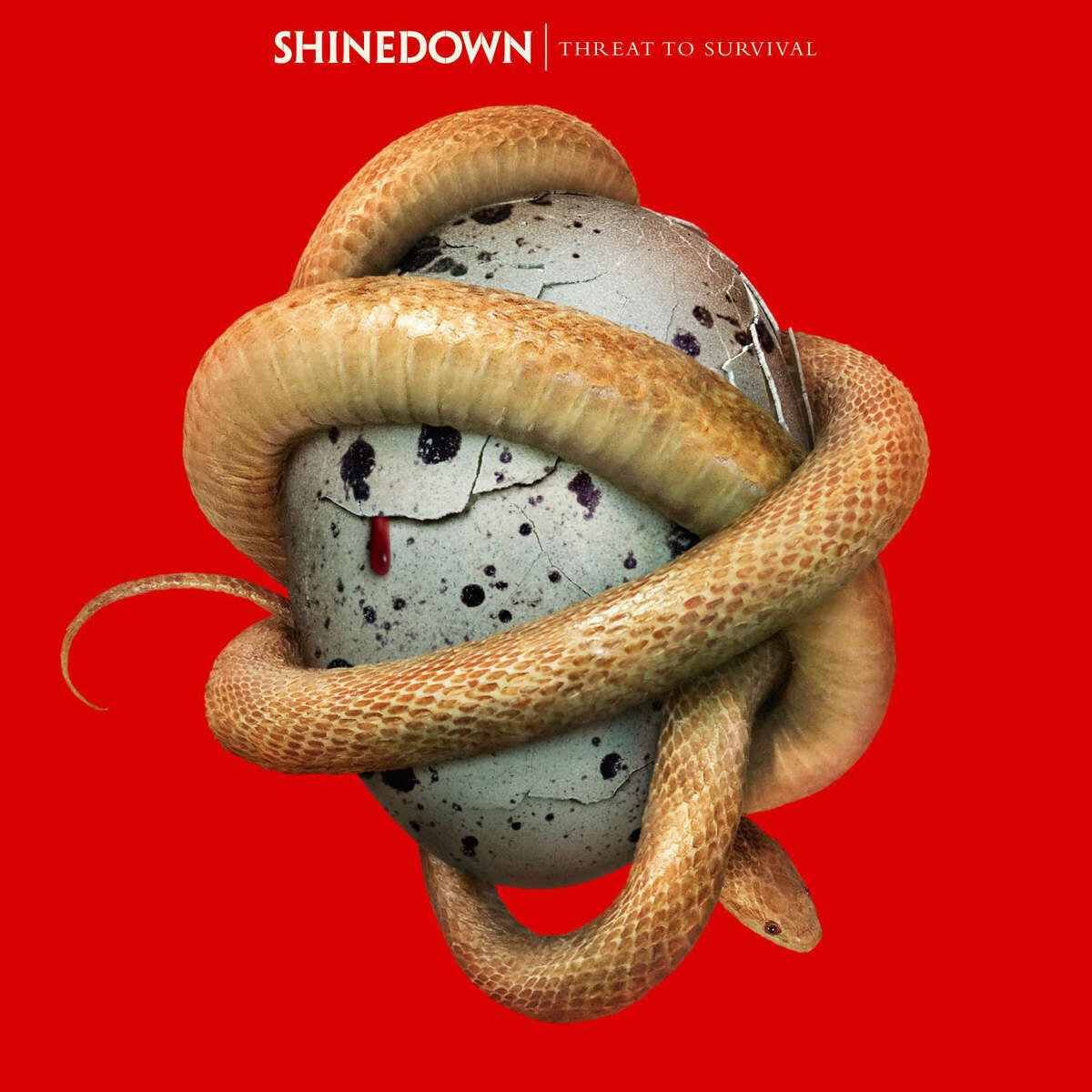 Shinedown《Misfits》GTP谱