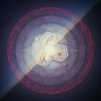 The Contortionist《Causality》GTP谱