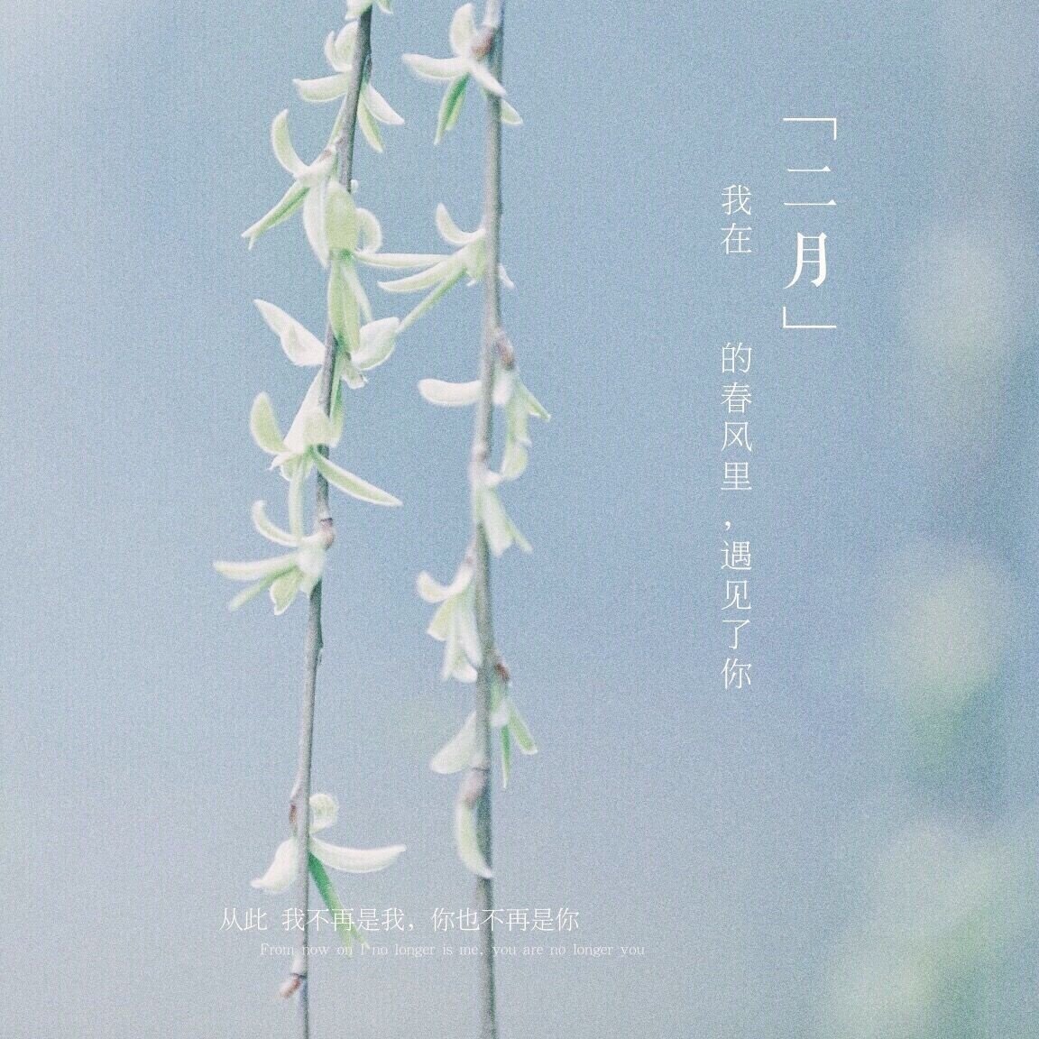 刘长龙《我在二月的春风里遇见了你》GTP谱