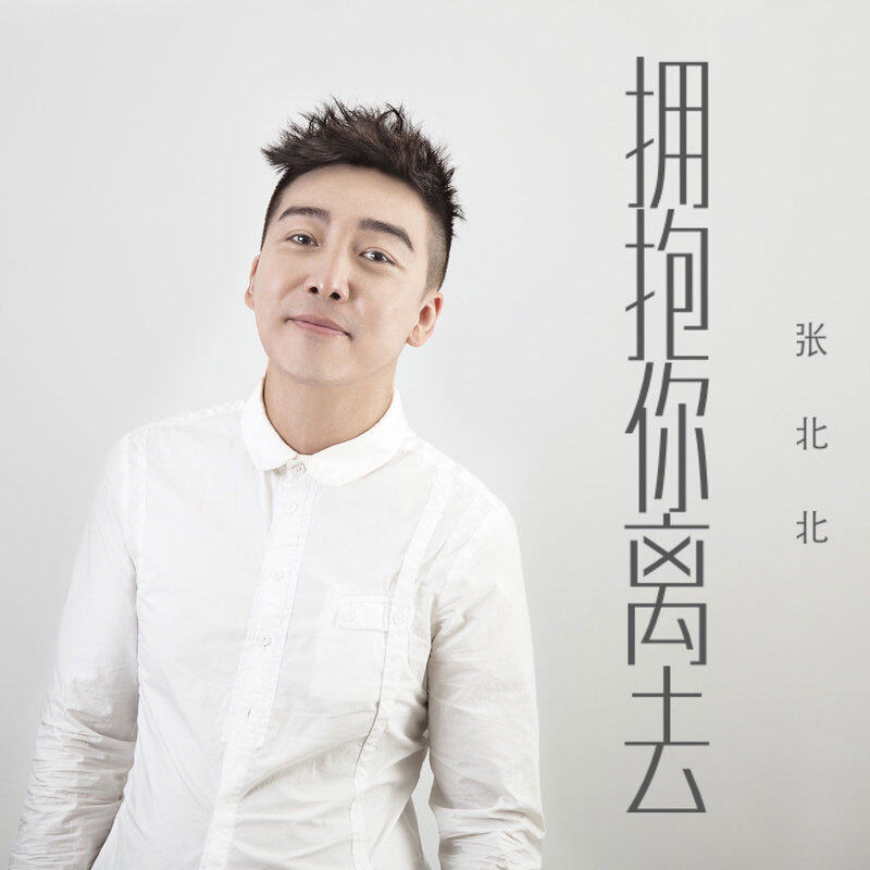 张北北《拥抱你的离去》GTP谱