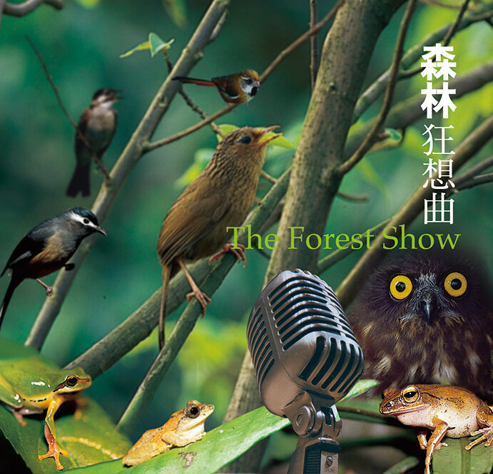 吴金黛《森林狂想曲 普及版》GTP谱