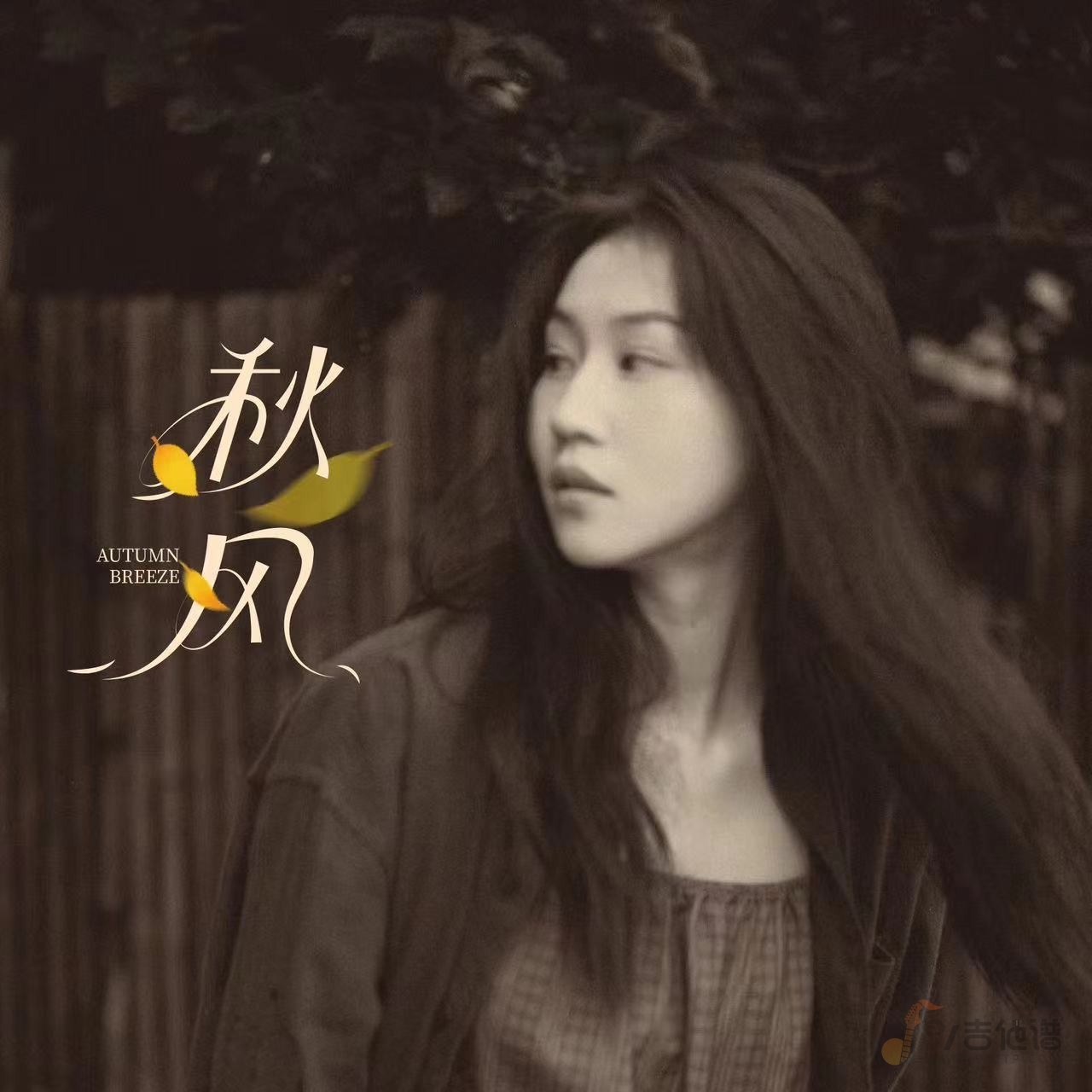四熹丸子《秋风》原版弹唱