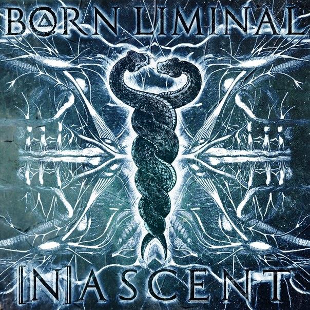 Born Liminal《The Seed Orchard》乐队总谱|GTP谱