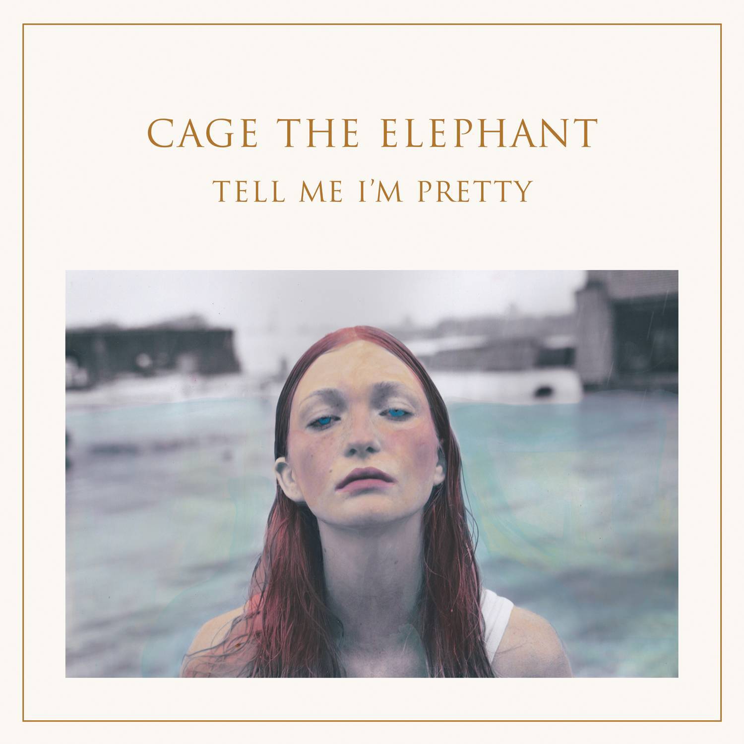 Cage the Elephant《Too Late To Say Goodbye》乐队总谱|GTP谱